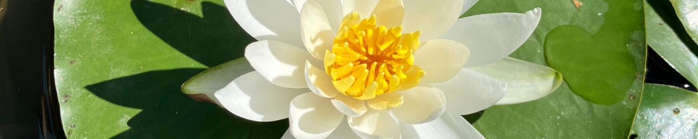Zeit für mich – Gedanken zur Ruhe bringen, Daria Linzbach