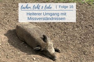Blog_LLL17_Missverständnisse konstruktiv löschen_Herzkommunikation_Klare Kommunikation_Verzeihen_Daria Katrin Linzbach_Coach_Lebensgestaltung_Spiritualität_Bonn