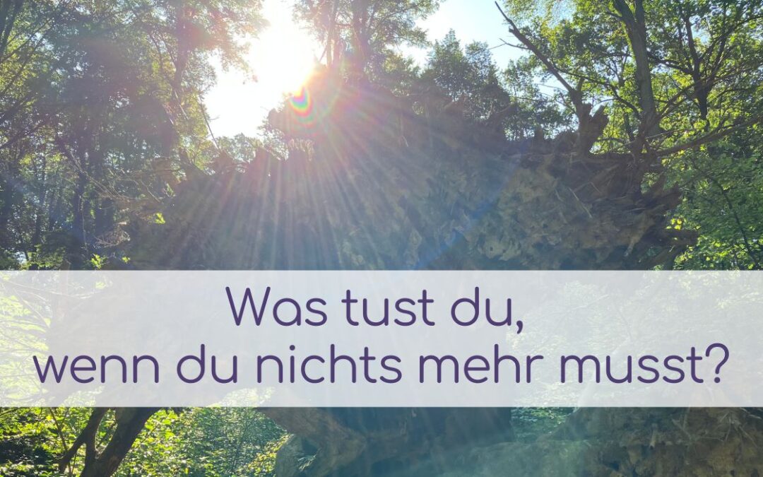 Was tust du, wenn du nichts mehr musst?