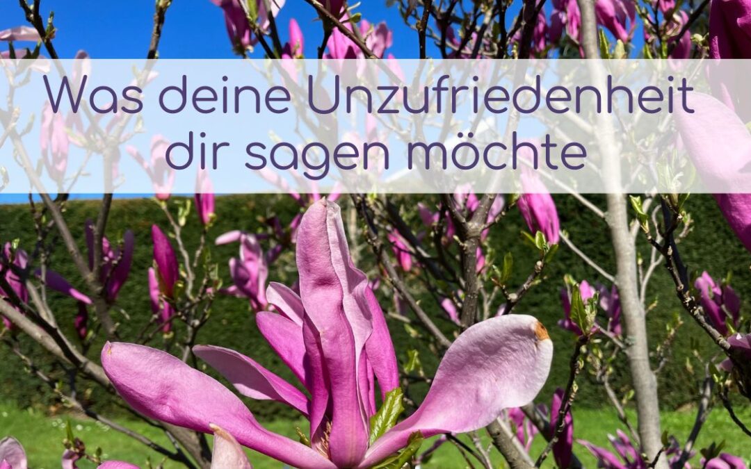 Was deine Unzufriedenheit dir sagen möchte
