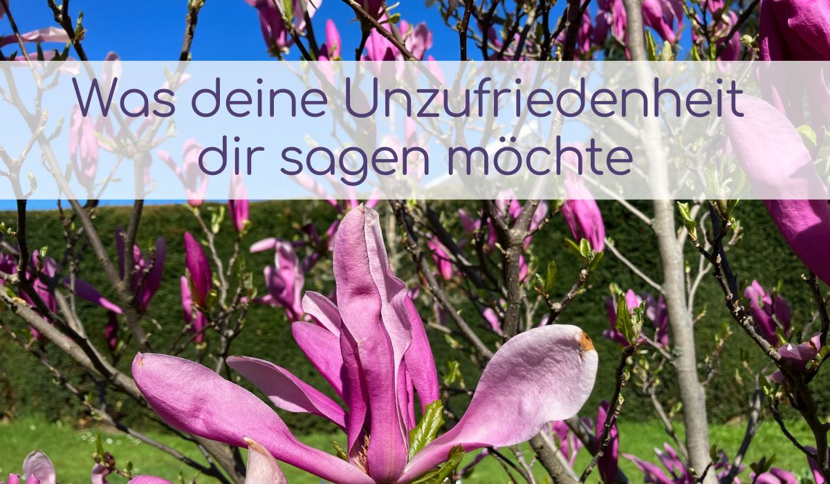 Blüte als Symbol für Aufbruch